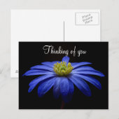 Carte postale Fleur Bleue (Devant / Derrière)
