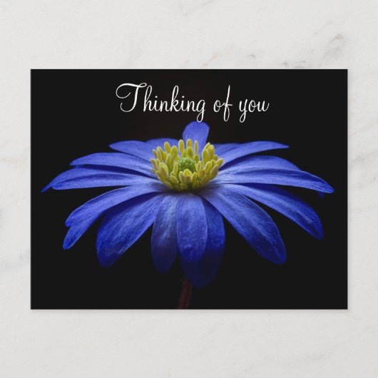 Carte postale Fleur Bleue (Devant)