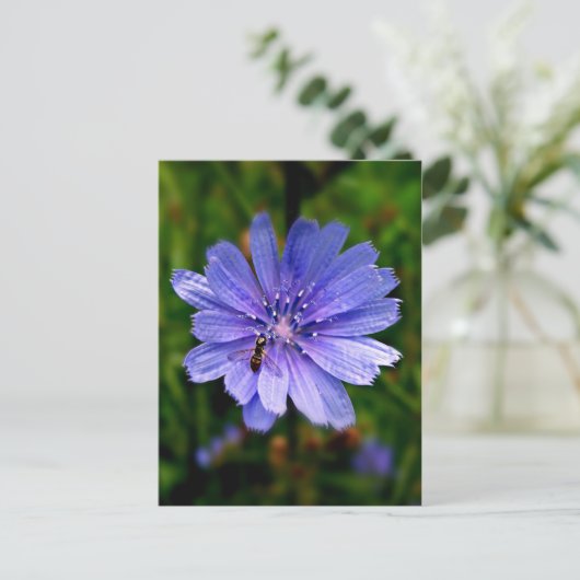 Carte postale Fleur bleue (Debout devant)