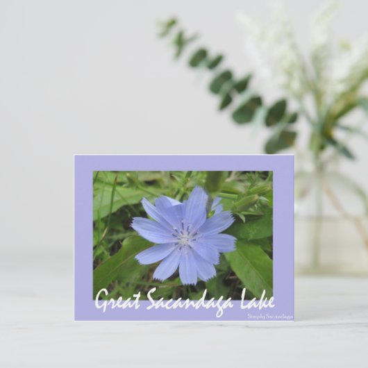 Carte Postale Fleur bleue (Debout devant)