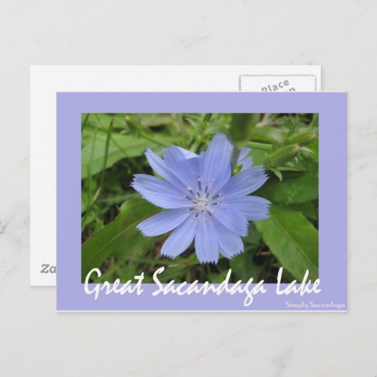 Carte Postale Fleur bleue (Devant / Derrière)