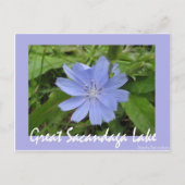 Carte Postale Fleur bleue (Devant)