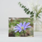 Carte Postale Fleur bleue (Debout devant)