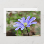 Carte Postale Fleur bleue (Devant / Derrière)