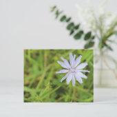 Carte Postale Fleur bleue #3 (Debout devant)