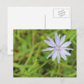 Carte Postale Fleur bleue #3 (Devant / Derrière)