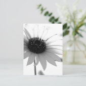 Carte Postale Fleur BW transparente (Debout devant)