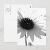 Carte Postale Fleur BW transparente (Devant / Derrière)