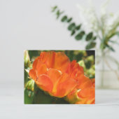 Carte postale Fleur Cactus (Debout devant)
