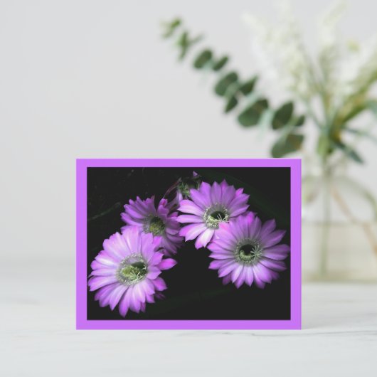 Carte Postale Fleur Cactus (Debout devant)