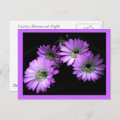 Carte Postale Fleur Cactus (Devant / Derrière)