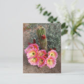 Carte postale Fleur Cactus (Debout devant)