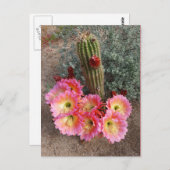 Carte postale Fleur Cactus (Devant / Derrière)