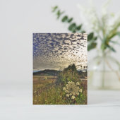 Carte Postale Fleur champ (Debout devant)