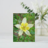 Carte Postale Fleur Columbine en Jaune (Debout devant)