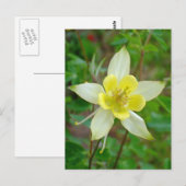 Carte Postale Fleur Columbine en Jaune (Devant / Derrière)
