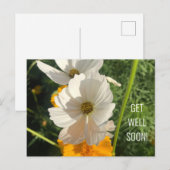 CARTE POSTALE FLEUR COSMO BLANCHE REMETTEZ-VOUS BIEN (Devant / Derrière)