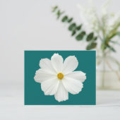 Carte Postale Fleur Cosmos Blanc (Debout devant)