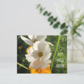 CARTE POSTALE FLEUR COSMOS BLANC RÉTABLISSEMENT (Debout devant)