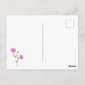 Carte Postale Fleur Cosmos Rose 2 (Dos)