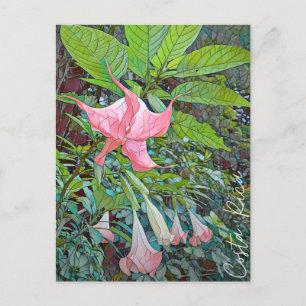 Carte postale Fleur Costa Rica