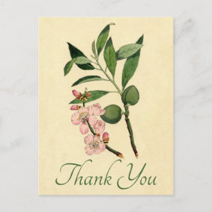Carte Postale Fleur d'amande rose vintage en Merci Floral