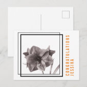 Carte Postale Fleur d'Amaryllis moderne orange (Devant / Derrière)
