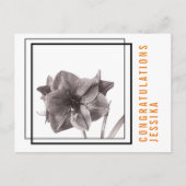 Carte Postale Fleur d'Amaryllis moderne orange (Devant)