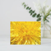 Carte Postale Fleur Dandelion (Debout devant)