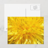 Carte Postale Fleur Dandelion (Devant / Derrière)