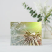 Carte Postale Fleur Dandelion (Debout devant)