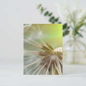 Carte Postale Fleur Dandelion (Debout devant)