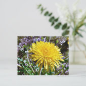Carte Postale Fleur Dandelion Dans L'Herbe (Debout devant)