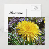 Carte Postale Fleur Dandelion Dans L'Herbe (Devant / Derrière)