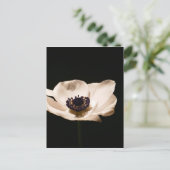 Carte Postale Fleur d'anémone (Debout devant)