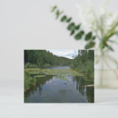 Carte Postale Fleur dans l'eau (Debout devant)
