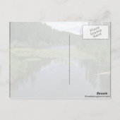 Carte Postale Fleur dans l'eau (Dos)