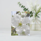 Carte Postale Fleur d'Apple (Debout devant)