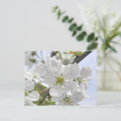 Carte Postale Fleur d'Apple (Debout devant)