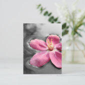 Carte Postale Fleur d'Apple (Debout devant)