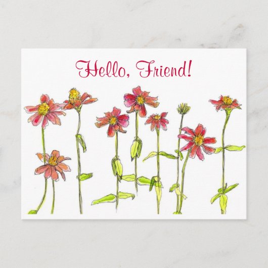 Carte Postale Fleur d'aquarelle Red Zinnia Hello Friend (Devant)