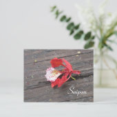 Carte Postale Fleur d'arbre de feu solitaire sur une promenade (Debout devant)