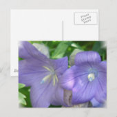 Carte postale Fleur de ballon (Devant / Derrière)