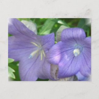 Carte postale Fleur de ballon