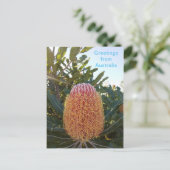 Carte Postale Fleur de Banskia Australie occidentale (Debout devant)