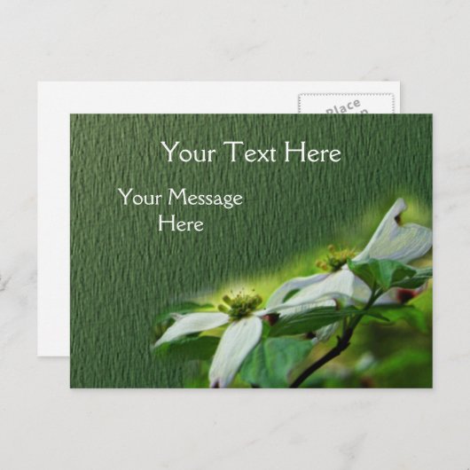 Carte Postale Fleur de bois de chien blanc (Devant / Derrière)