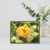 Carte Postale Fleur de cactus à poires (Debout devant)