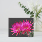 Carte Postale Fleur de cactus antimatière deux fois (Debout devant)