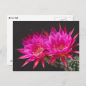 Carte Postale Fleur de cactus antimatière deux fois (Devant / Derrière)