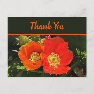 Carte Postale Fleur de cactus de désert lumineux Merci Photo